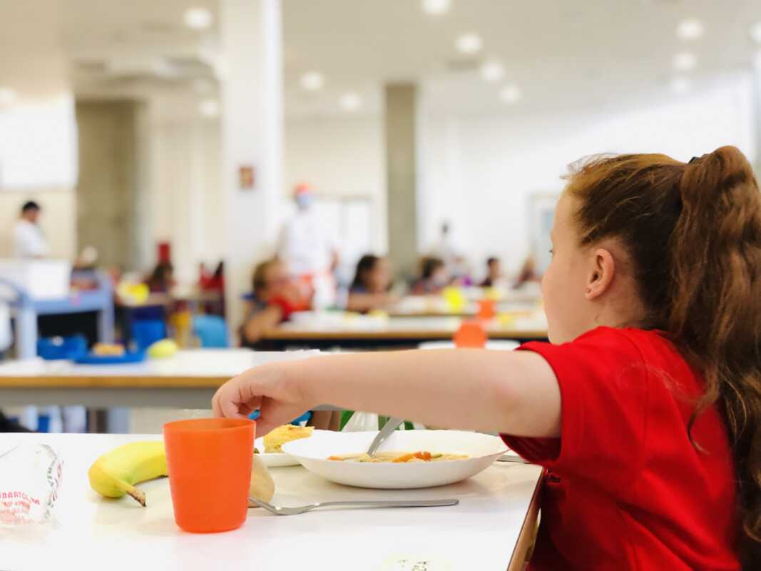 Técnico Superior en Educación Infantil