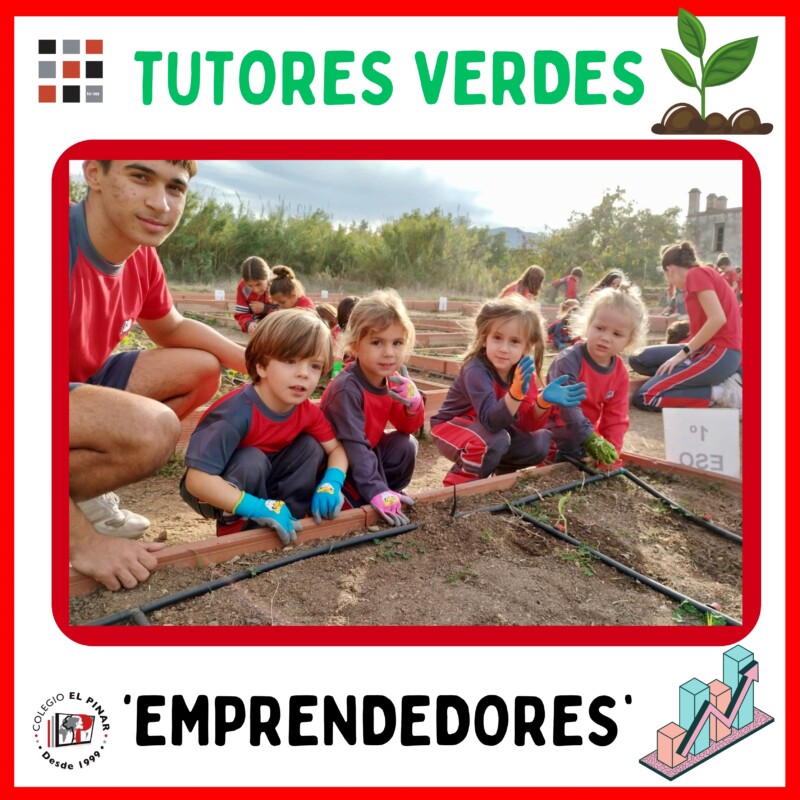 TUTORES VERDES