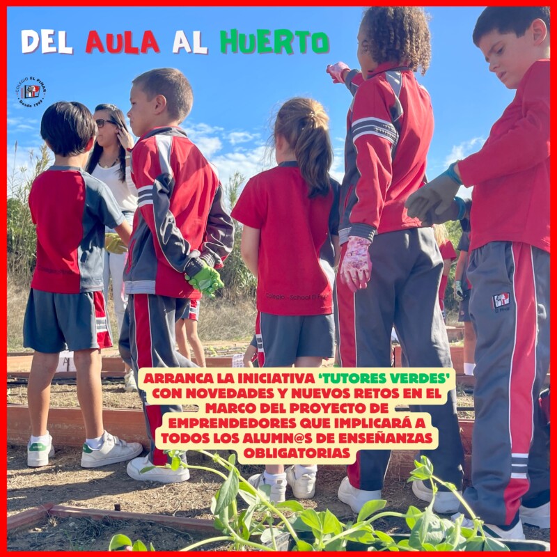 CULTIVANDO VALORES